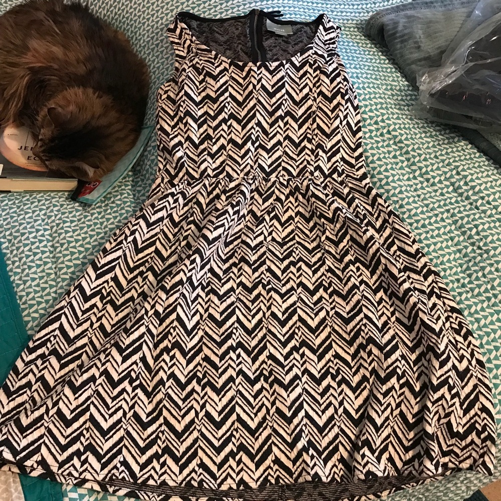 Navy and white Maeve Anthropologie dress